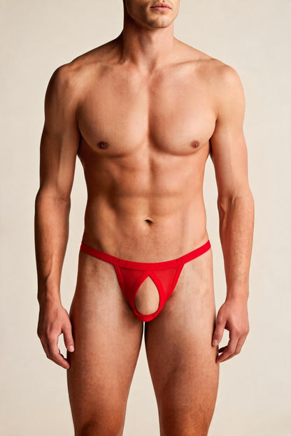 Men's Open Front Thong Low Rise Strappy Mesh Cut Out T-back Underwear